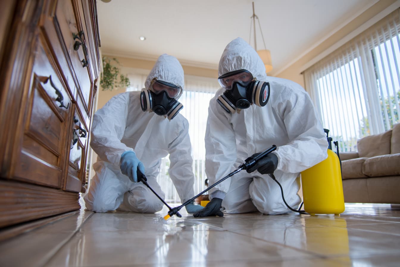 Ant Control - Stuartpestcontrol.net